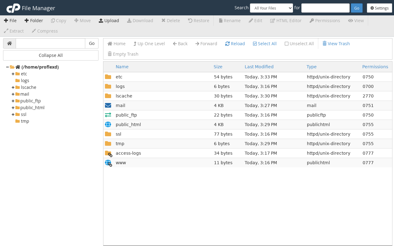 cPanel File Manager showing the home folder with public_html, the toolbar and the folder tree